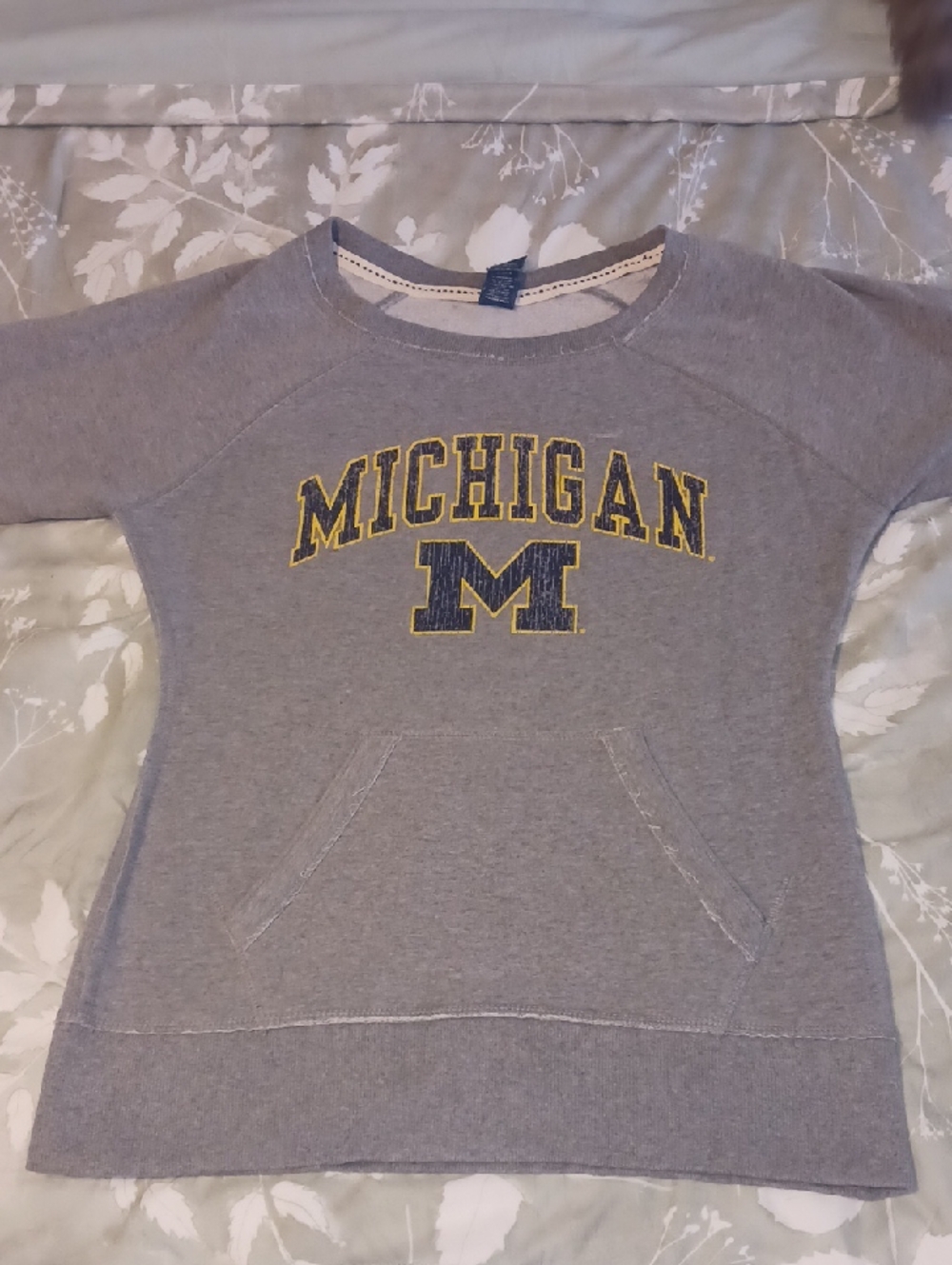 Michigan Graphic Crewneck Sweatshirt - Gray